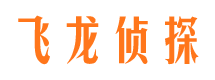 宁津私家调查公司